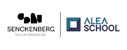 Senckenberg ist Bildungspartner der Alea School