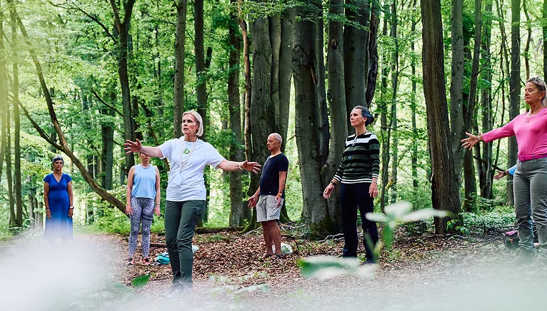 Mehrere Personen führen Meditationsübungen im Wald aus